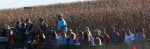 Millstadt Haunted Hayrides