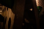 L’héritage Des Bulles