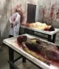 Bayville Asylum