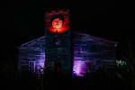 Miller Manor and Blood Shed