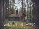 Cabin in the Woods