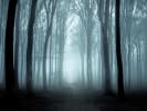 Middletown Haunted Trail