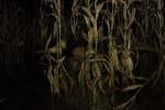 Haunted Hayride
