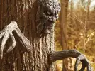 Haunted Woods