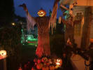 Barnhill Haunt