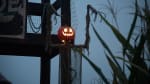 Trick or Treat Trail