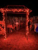 Lighted Corn Maze