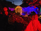 Ghostly Gourds of Glenhaven