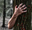 Zombie Outbreak
