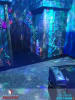 The Coral Kingdom Aquarium