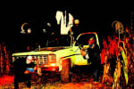 Boccali Ranch Pumpkin Patch