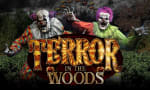 Terror in the Woods