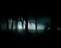 Haunted Woods