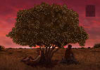 2.3 The Stone Leaves: Otto & The Old Friend
