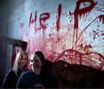The Haunted Basement