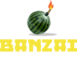 Bomb