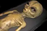 Alien Autopsy