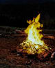 Camp Slasher