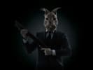 Rabbit6