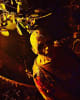 Frightmare Forest