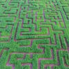 Halloween Maze