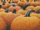 Haunted Corn Maze