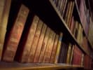 Die Bibliothek der Rätsel [The Library of Puzzles]