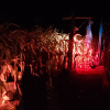 Haunted Corn Maze