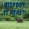 Bigfoot is Real?!
