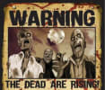 Zombie Apocalypse