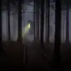 Das Haus im Wald [The House In The Forest]