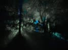 The Woods