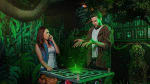 Jungle Room