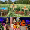 Haunted Corn Maze