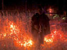 The Haunted Half Acre