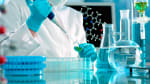 Laboratorio [Laboratory]