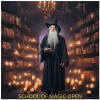 School of Magic