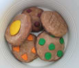 The Case of the MIssing Cookie