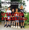 Operation Falkenjagd [Outdoor]