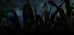 Shelby Haunted Maze
