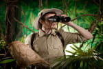 Lost in the Jungle