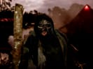 The Infected Crop and Demented Forest