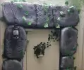 Chapter 4: The Forest