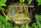 Willkommen im Dschungel