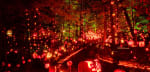 Jack-O-Lantern Spectacular