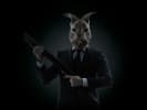 Rabbit6