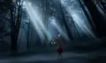Hiker Cabin