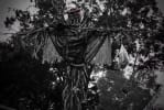 Haunted Trail