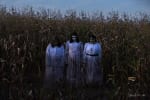 The Haunted Straw Maze