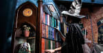 Die Magische Universität [The Magical University]